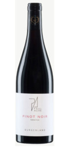 Paul Achs | Pinot Noir