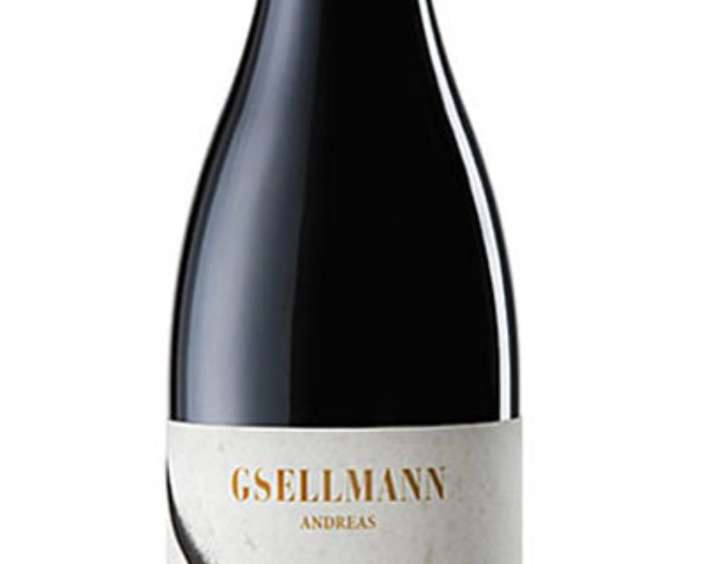 Gsellmann | Pannobile