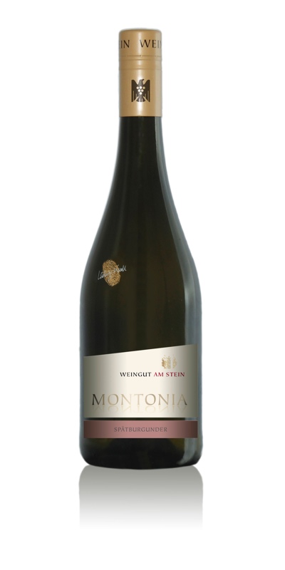 Weingut am Stein | Montonia Spätburgunder